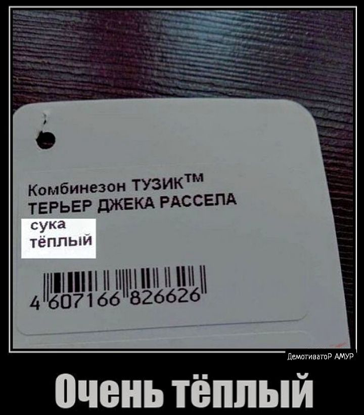 Ктм ТЕРЬЕР дЖЕКА РАССЕПА сука теппыи діигнззшзпцшыи Комбинезон ТУЗИ и им очень ТЁПЛЫЙ