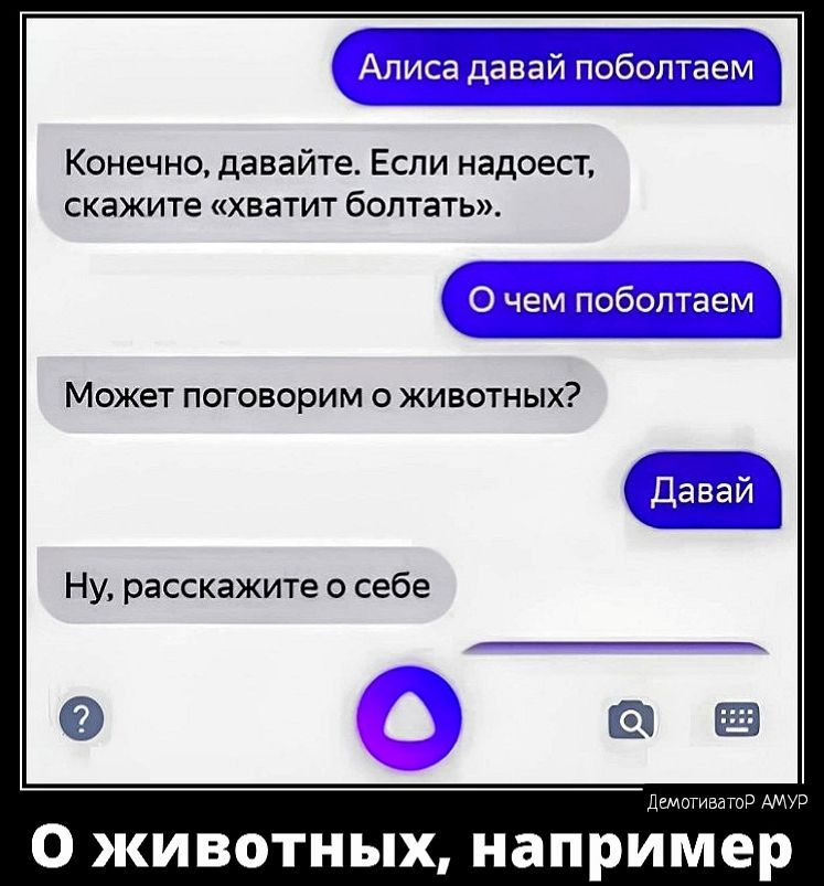 лп мы Конечно давайте Еспи надоест скажите хватит болтать Может поговорим о животных Ну расскажите о себе О животных например