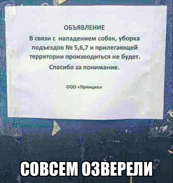 овьпалгниі в связи иападением собак уборка подъездов 567 и прилегающей территории произведите не буди Спасибо за пвиимаиие расширимпп 0088 ВЗВЕРШИ