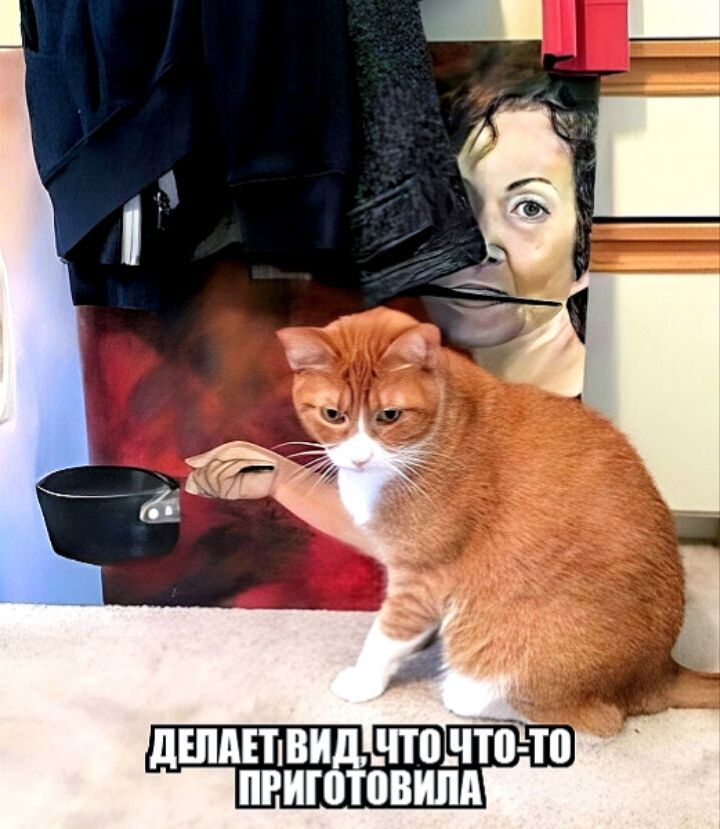 Е тттви что что то пгит пвипд