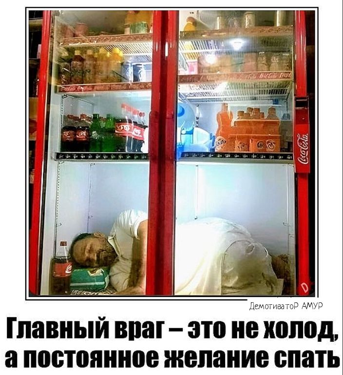 Главный ВШ это не ХППМ ШШПШШШВ желание спать