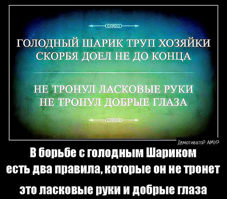 _ голодный шыш тп хозяйки скота Ш _іЮНЦА мамма борьба голодным Шапиипи ЦБП правила ИПМИ 0 ППШ 31 ПЗБШВЫЕ В И лобные глаза