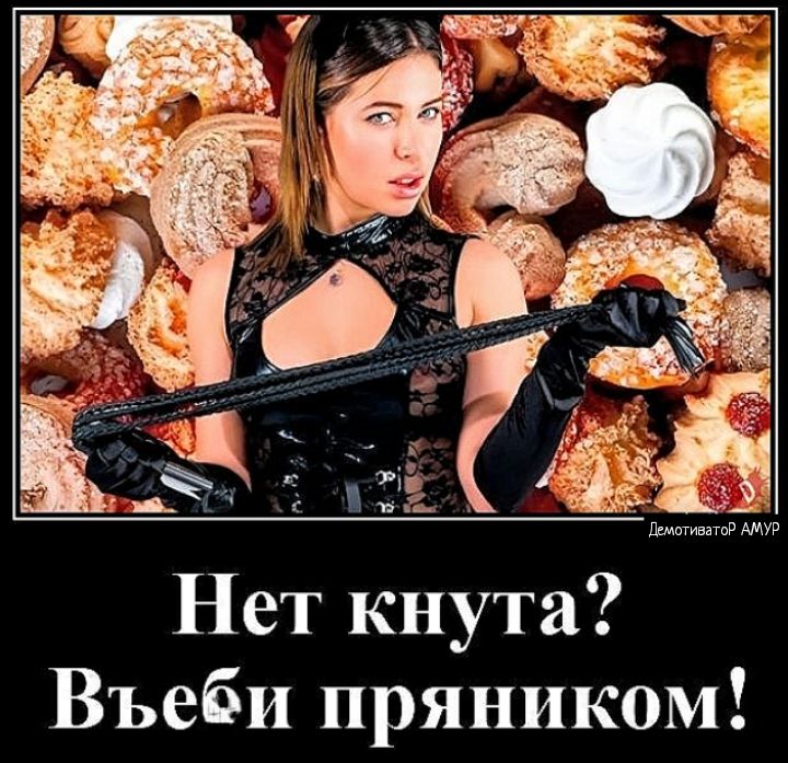 к Шремпф Нет кнута Въеби пряником
