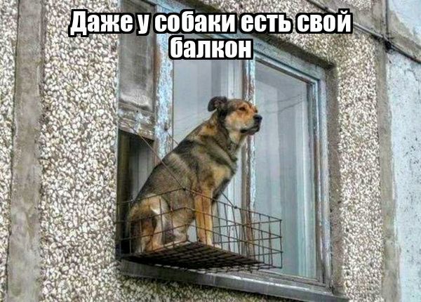 ьпьт д