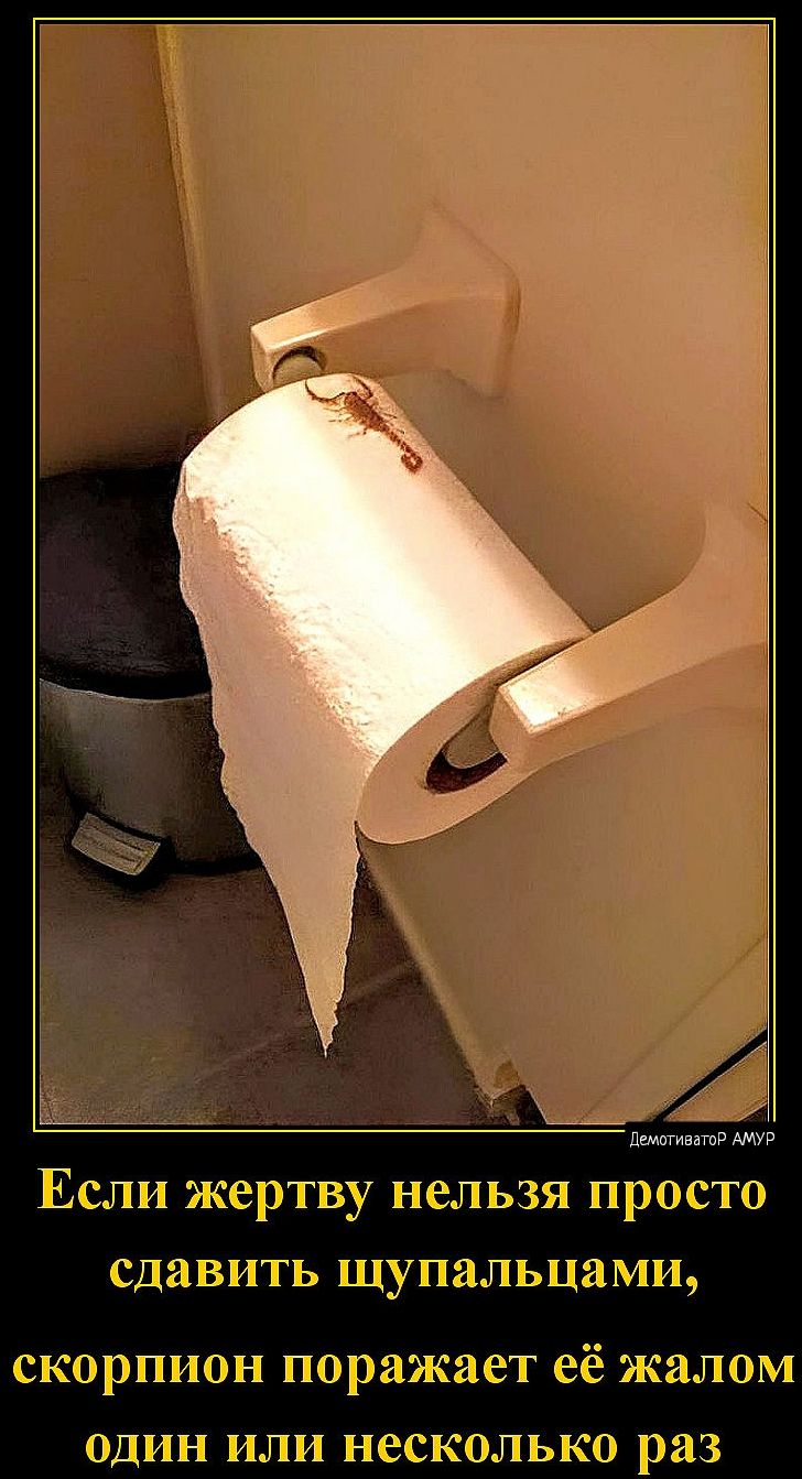 гчпжаит