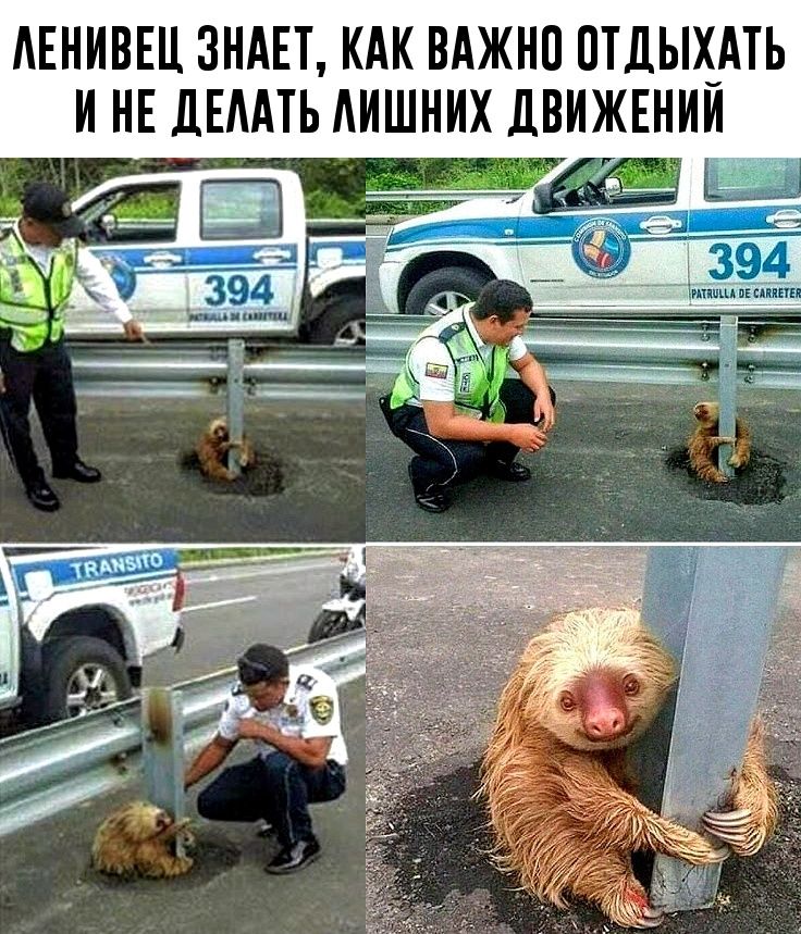АЕНИНЕЦ ЗНАЕТ КАК ВАЖНО ОТДЫХАТЬ И НЕ ДЕААТЬ АИШНИХ ДВИЖЕНИИ