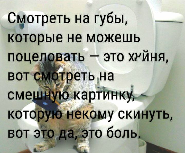 Смотреть на губы которые не можешь поцетт ать это хуйня