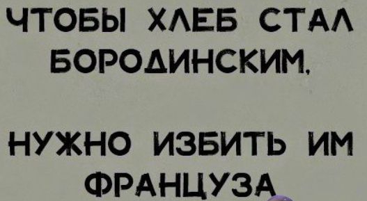 ЧТОБЫ ХАЕБ СТА БОРОДИНСКИМ НУЖНО ИЗБИТЬ ИМ ФРАНЦУЗА