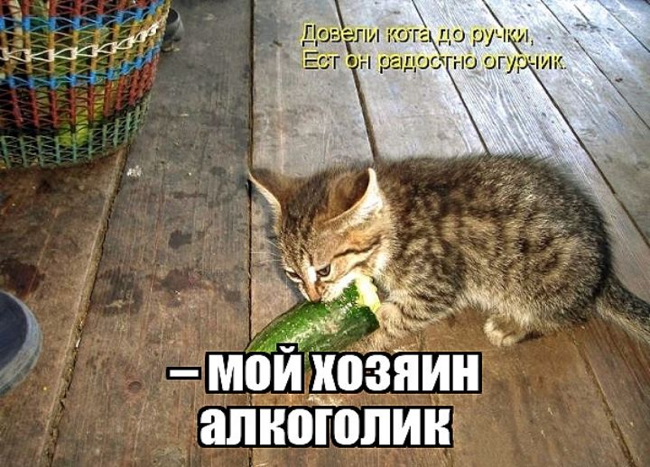 к _ ы М0И_03ПИП НПБППШИК