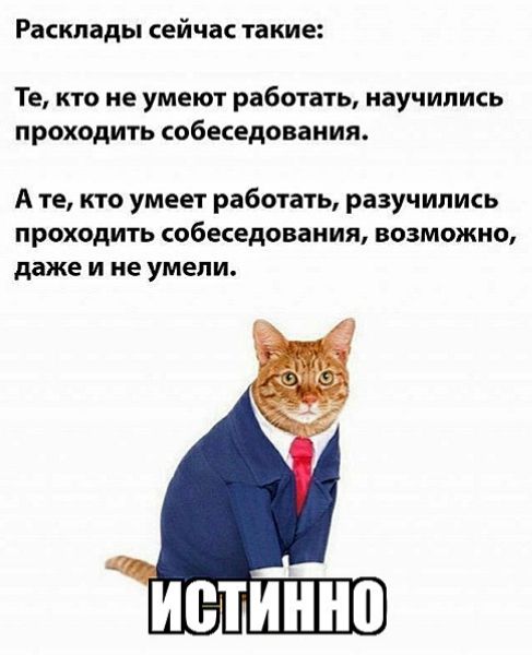 Рацкпады сейчас такие Те кто не умеют работать научились проходить собеседования А те кто умеет работать разучились проходить собеседования возможно даже и не умели