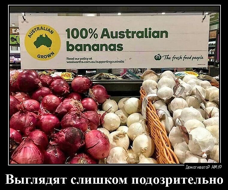 100 Аизсгпііап Ьппапаз ВЬПГЛЯДЯТ СЛИШКОМ подозрительно