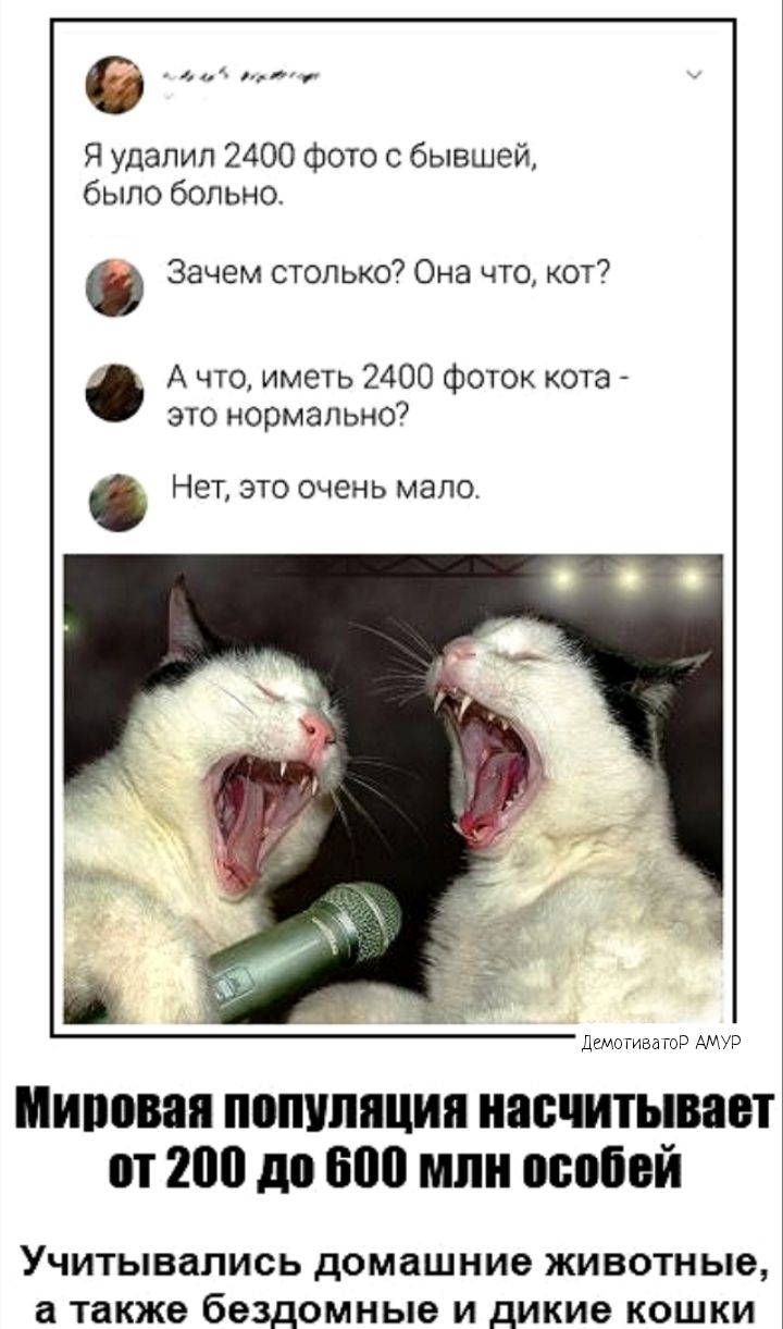 Я удалил 2400 Фото с бывшей было больно Зачем столько7 Она что 077 А что имен 2400 Фото кота зто нормально7 Нет это очень мало мимт МИПШВЗП ШШШНЩИП ИВБЧИТЫВЁШ 200 500 или особей Учитывались домашние животные 8 ТВКЖЕ бездомные И Дикие кошки