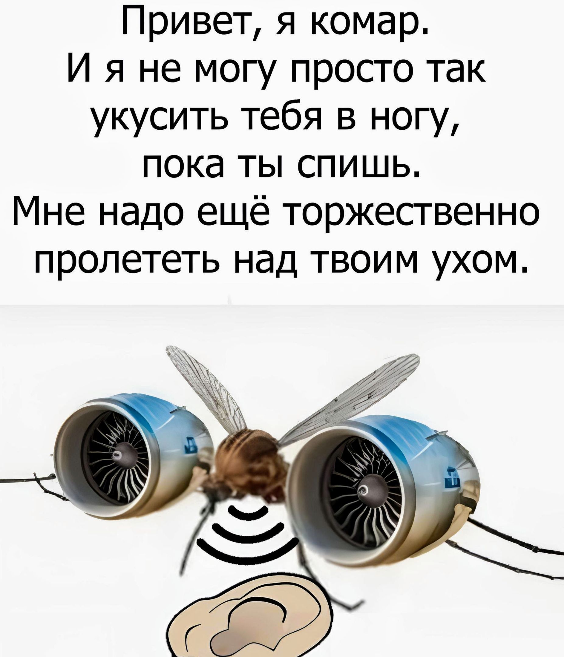 Привет я комар И я не могу просго так укусить тебя в ногу пока ты спишь Мне надо ещё торжественно пролететь над твоим ухом _