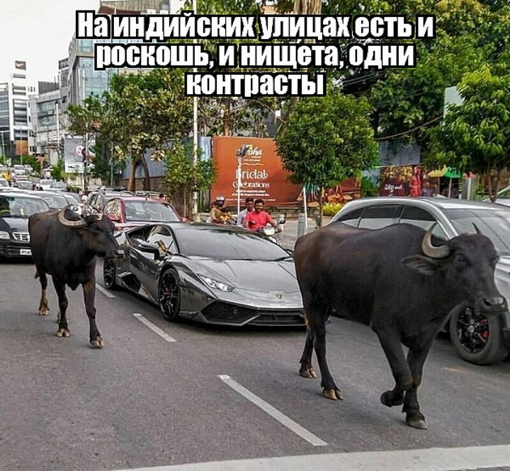 Шпиив шпик ть __ _ ошьміиищота ди