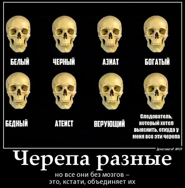 и мн Черепа разные но все они без мозгов _ кстати объединяет их