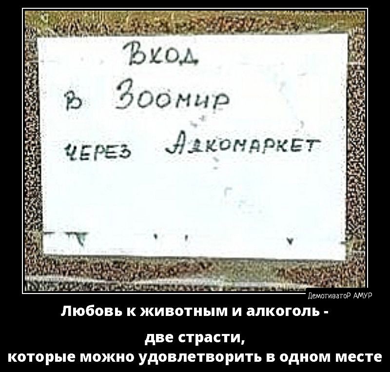 Любовь к животным и алкоголь две страсти которые можно удовлетворить в одном месте