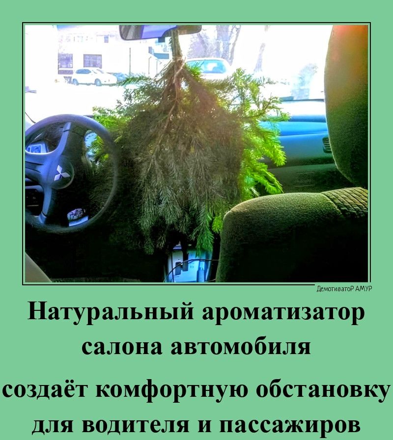 Натуральный ароматизатор салона автомобиля создаёт комфортную обстановку для водителя и пассажиров