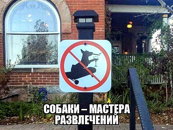 СОБАНИ МАСТЕРА