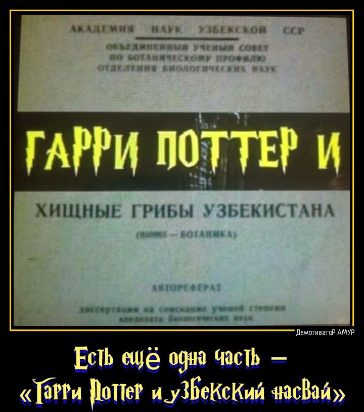 ХИЩНЫЕ ГРИБЫ УЗБЕКИСТАНА ЕсТЬ ещё одно Часть Ттти опие и уЗбеКсКий чюсвзй