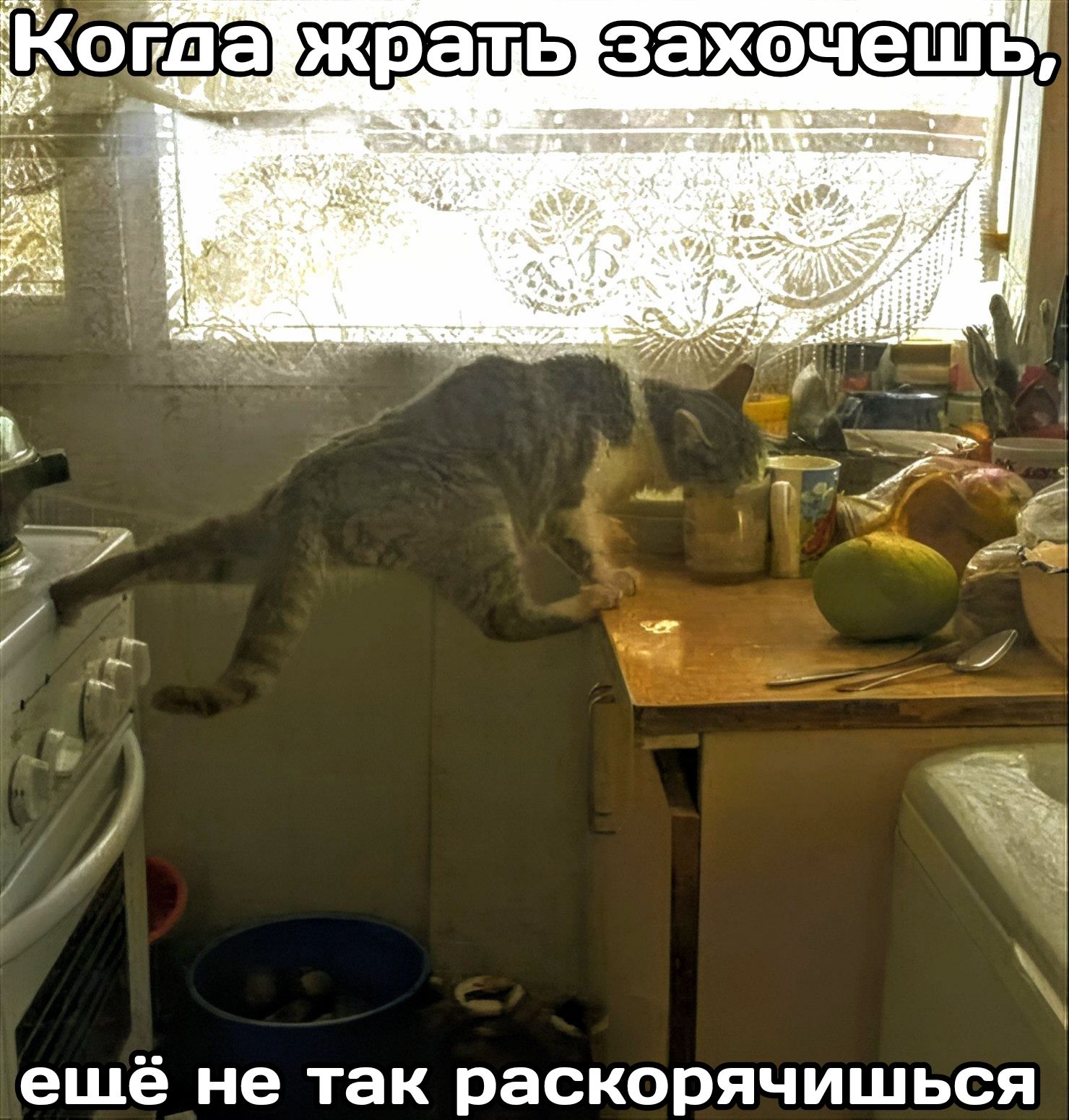 ешё не так раскорячишься