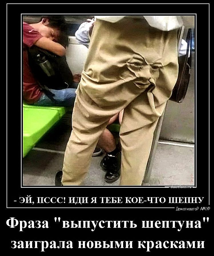 ЭЙ ПССС ИДИ Я ТЕБЕ КОЕ ЧТО ШЕПНУ мст В Фраза выпустить шептуна заиграла новыми красками