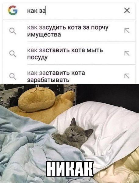 как за
как засудить кота за порчу имущества
как заставить кота мыть посуду
как заставить кота зарабатывать
НИКАК