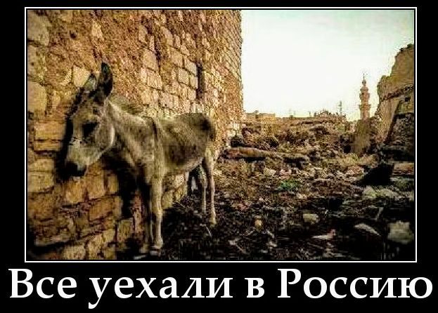 Все уехали в Россию