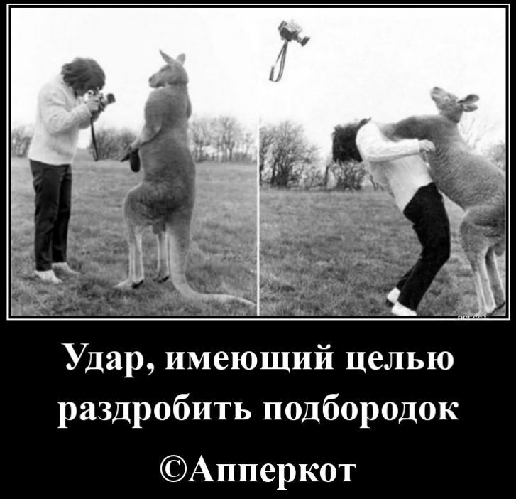 Удар, имеющий цель разбить подбородок ©Апперкот