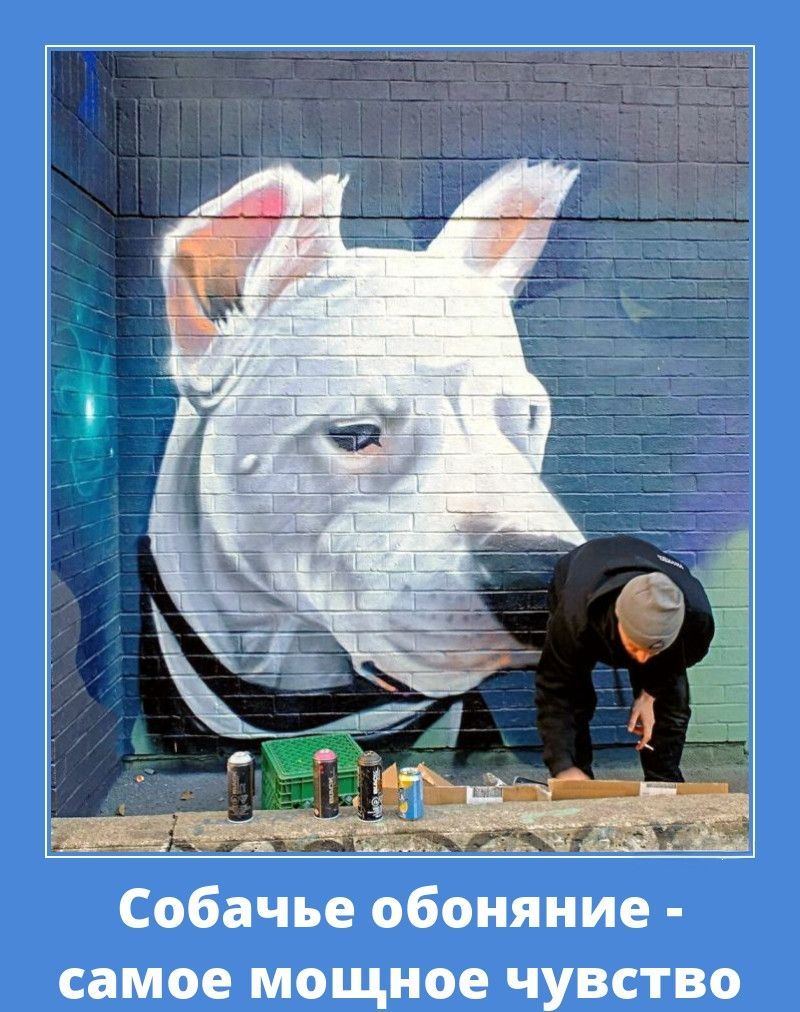 Собачье обоняние - самое мощное чувство