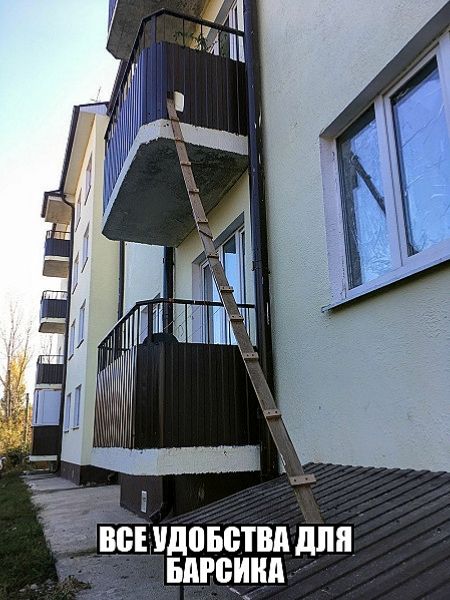 ВСЕ УДОБСТВА ДЛЯ БАРСИКА
