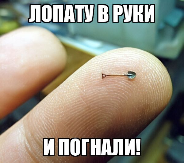 Лопату в руки и погнали!