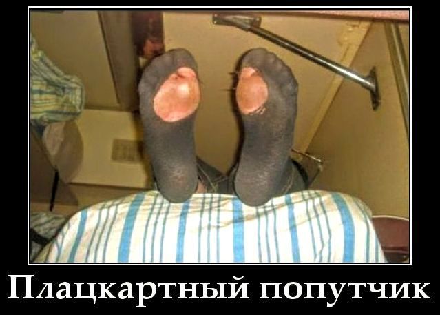Плацкартный попутчик