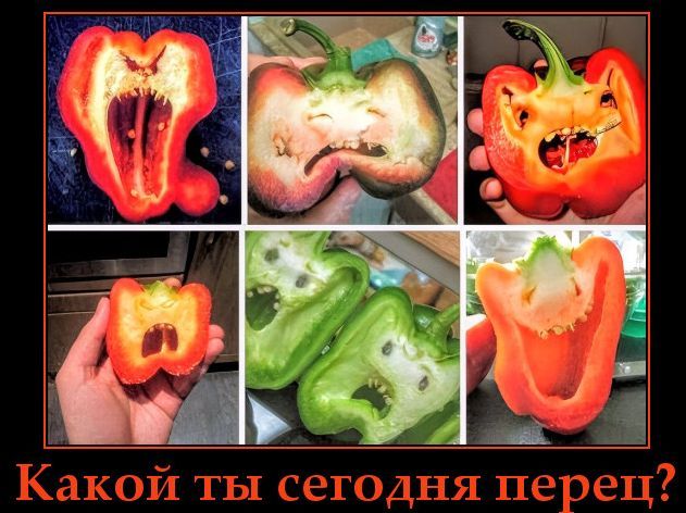 Какой ты сегодня перец?