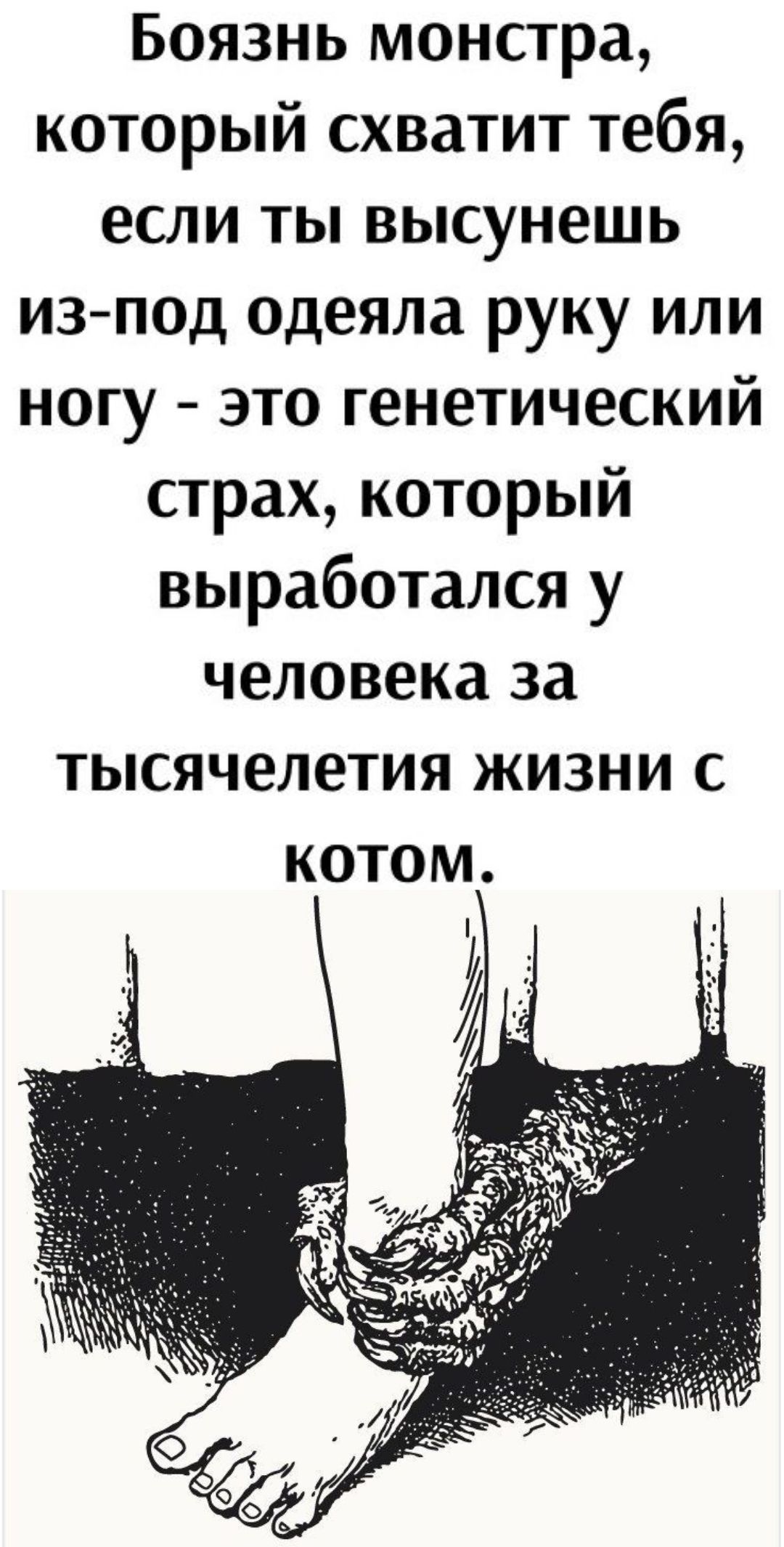 Боязнь монстра, который схватит тебя, если ты высунешь из-под одеяла руку или ногу - это генетический страх, который выработался у человека за тысячелетия жизни с котом.