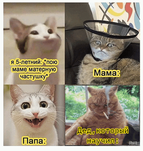 я 5-летний: *пою маме матерную частушку*
Мама:
Папа:
Дед, который научил: