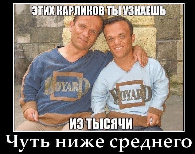 ЭТИХ КАРЛИКОВ ТЫ УЗНАЕШЬ ИЗ ТЫСЯЧИ Чуть ниже среднего