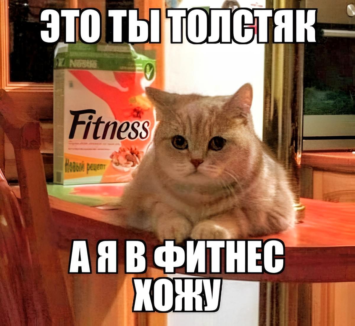 ЭТО ТЫ ТОЛСТЯК А Я В ФИТНЕС ХОЖУ