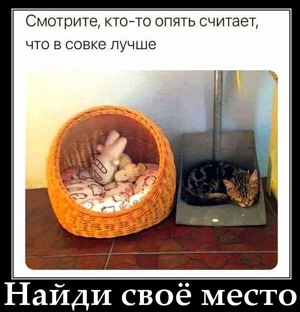 Смотрите, кто-то опять считает, что в совке лучше
Найди своё место