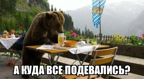 А куда все подевались?
