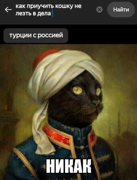 как приучить кошку не лезть в дела
турции с россией
НИКАК
