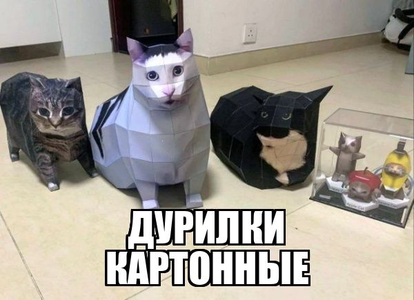 ДУРИЛКИ КАРТОННЫЕ