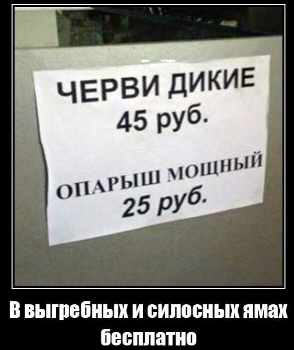 ЧЕРВИ ДИКИЕ 45 руб.
ОПАРЫШ МОЩНЫЙ 25 руб.
В выгребных и силосных ямах бесплатно