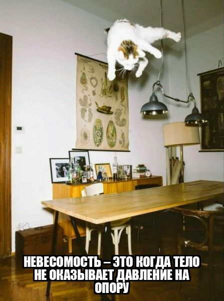 НЕВЕСОМОСТЬ – ЭТО КОГДА ТЕЛО НЕ ОКАЗЫВАЕТ ДАВЛЕНИЕ НА ОПОРУ