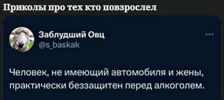 Человек, не имеющий автомобиля и жены, практически беззащитен перед алкоголем.