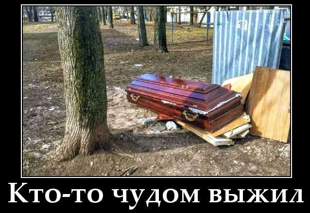 Кто-то чудом выжил
