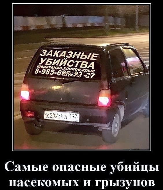 ЗАКАЗНЫЕ УБИЙСТВА
 8-985-668-44-37
Самые опасные убийцы насекомых и грызунов