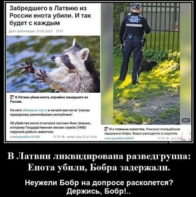 В Латвии ликвидирована разведгруппа: Енота убили, Бобра задержали.

Неужели Бобу на допросе расколет? Держись, Бобр!.