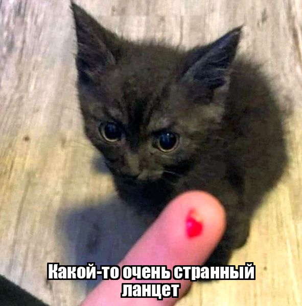 Какой-то очень странный ланцет