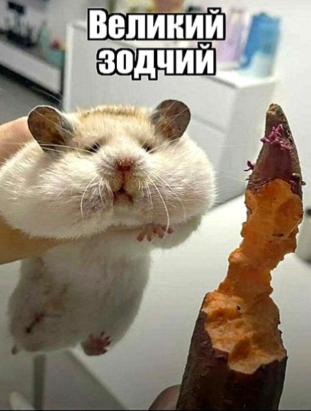 Великий зодчий