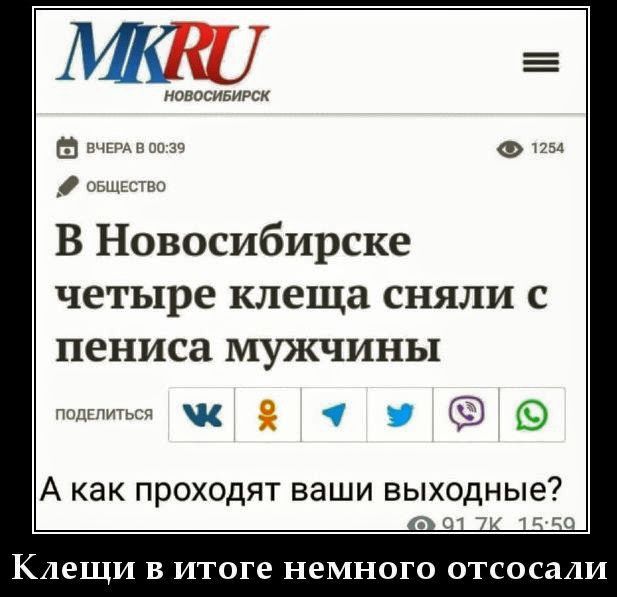 В Новосибирске четыре клеща сняли с пениса мужчины
А как проходят ваши выходные?